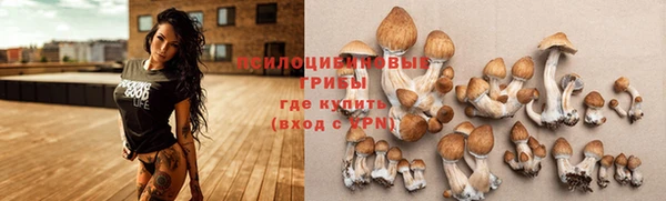 тгк Михайловка